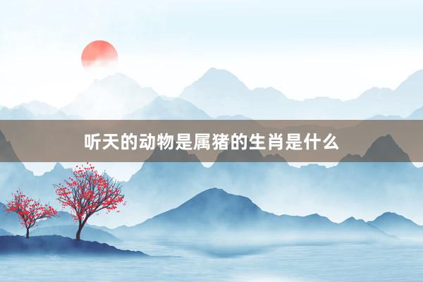 听天的动物是属猪的生肖是什么